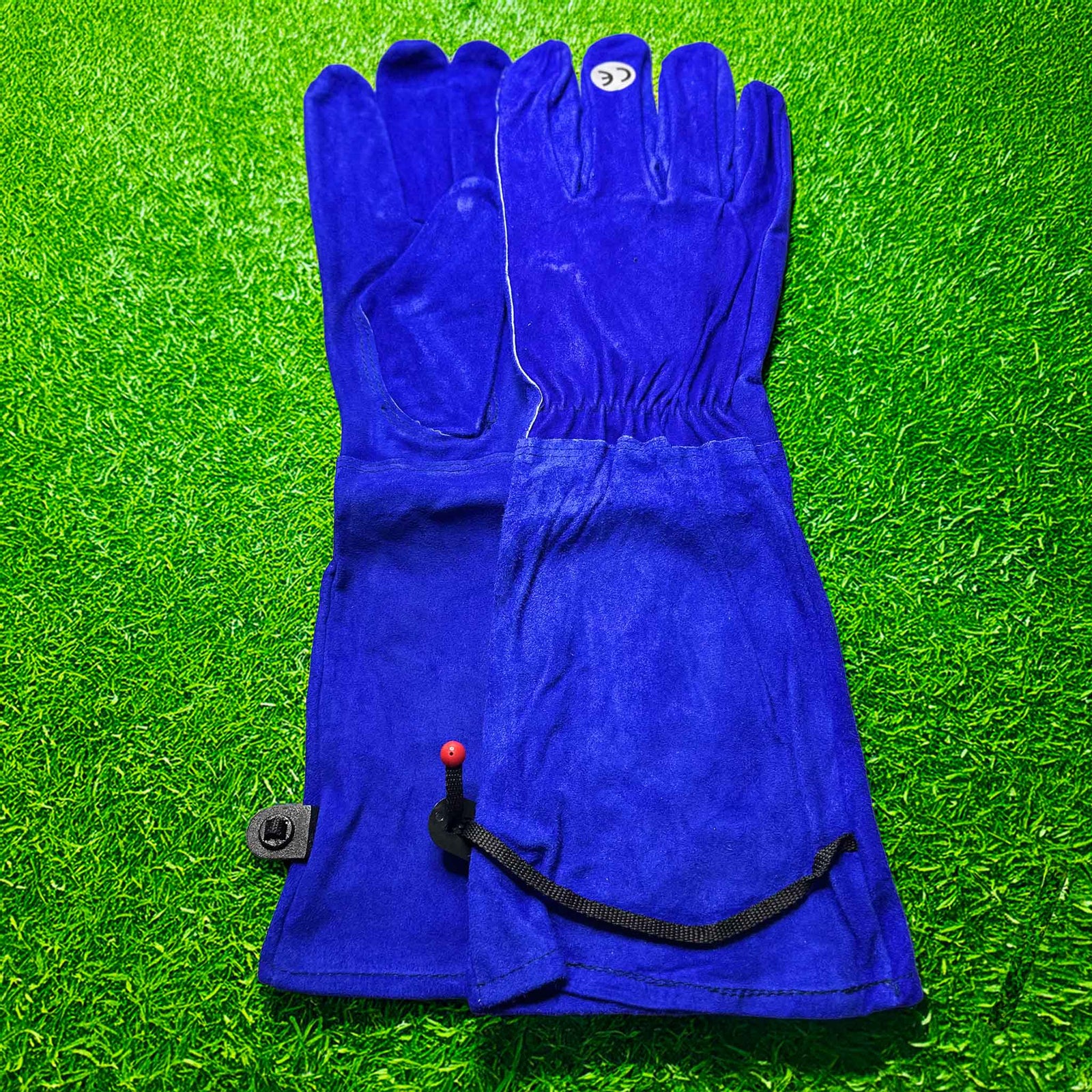 Pair of blue gloves on a green grass background